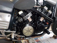 DSCN5256