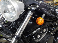 DSCN9334