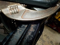 DSCN5957