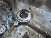 DSCN2996