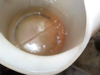DSCN7944