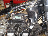 DSCN5988