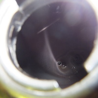 DSCF3164