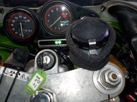 DSCN6871