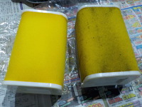 DSCN7433