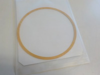 DSCN4392