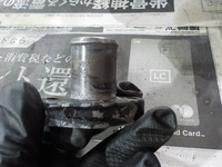 DSCN6855