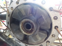 DSCN3163