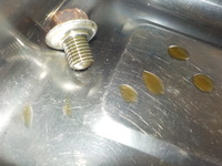 DSCN4950