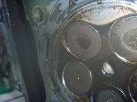 P1130057