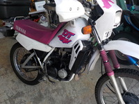 DSCN4106