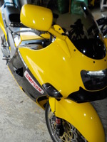 DSCN6384