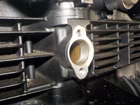 DSCN6489