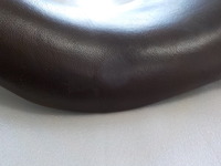 DSCN8927