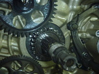 P1060224