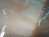 DSCN2075