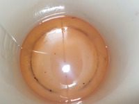 DSCN6203