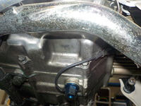 DSCN7648