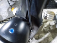 DSCN3137