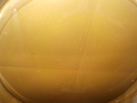 DSCN8339