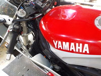 DSCN5540