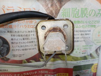 DSCN7072