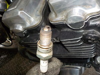 DSCN4491