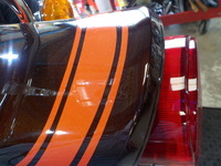 DSCN6853