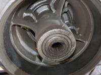 DSCN4398