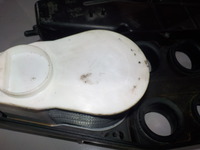 DSCN7774