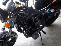 DSCN8192