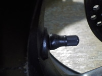 DSCN7880