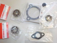 DSCN6523