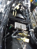DSCN2196
