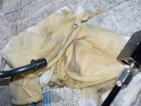 DSCN4704