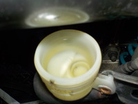 DSCN5791