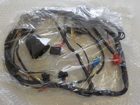 DSCN5659