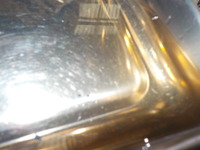 DSCN5566