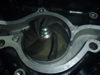 P1050665