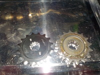 DSCN4118