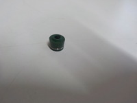 DSCN7494