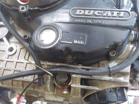 DSCN8222