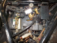 DSCN6761
