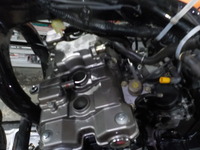 DSCN5373