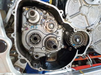 DSCN7674
