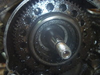 P1100589