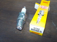 DSCN5355