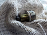 DSCN6690