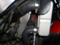 DSCN5953
