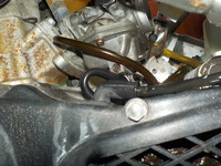 DSCN5146